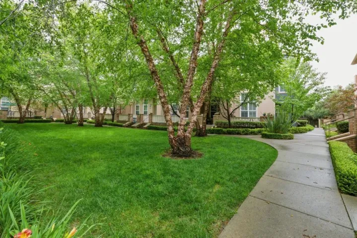 38 Silk Oak Terrace, Fremont, California 94536