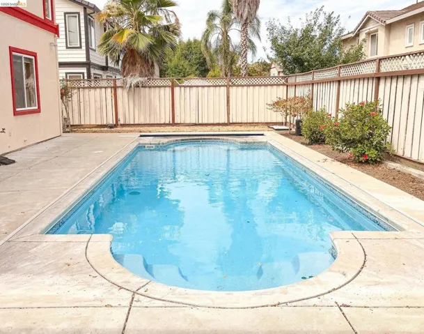 Rectangular in-ground pool featuring integrated steps and a surrounding concrete patio