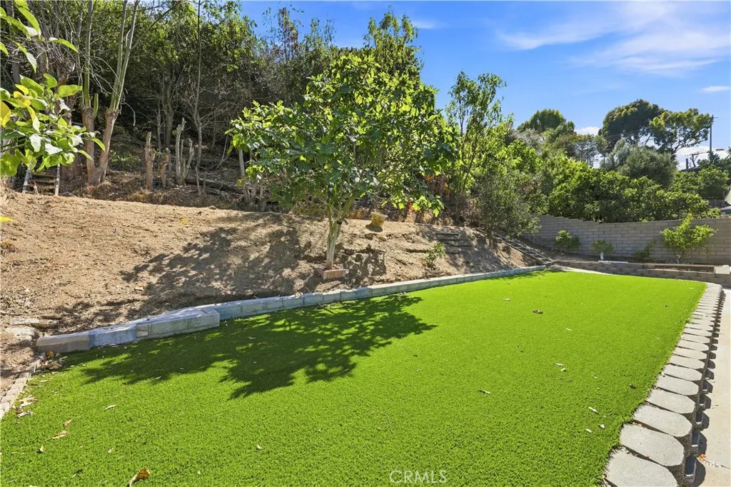Upgraded backyard with artifical grass