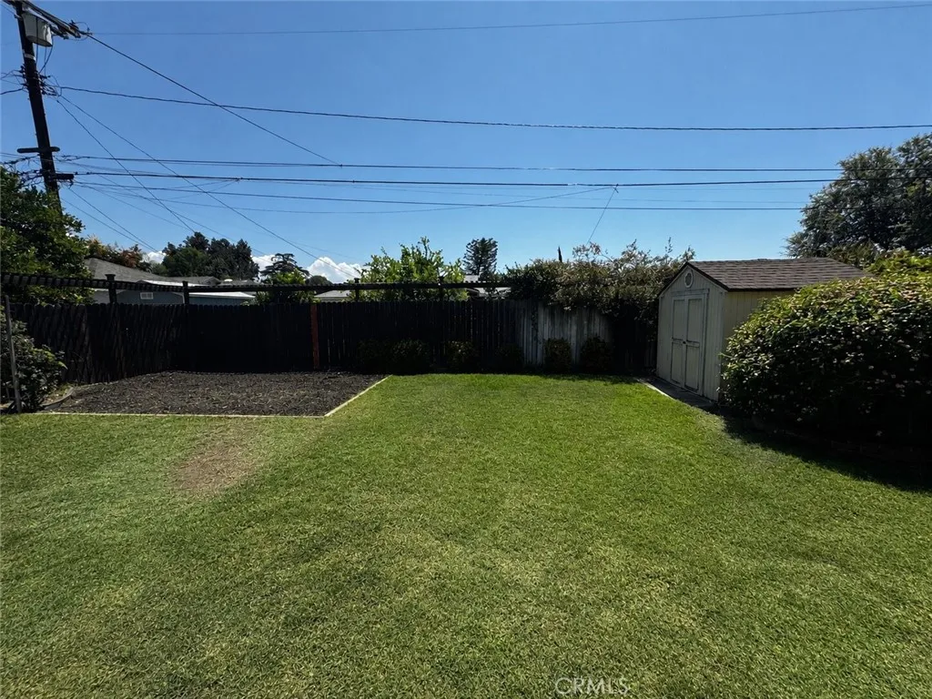 Backyard view 1