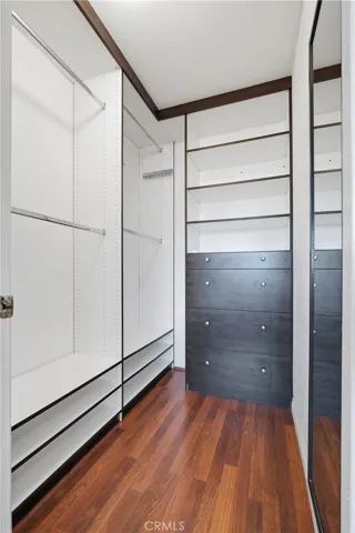 Walk-in closet in primary bedroom