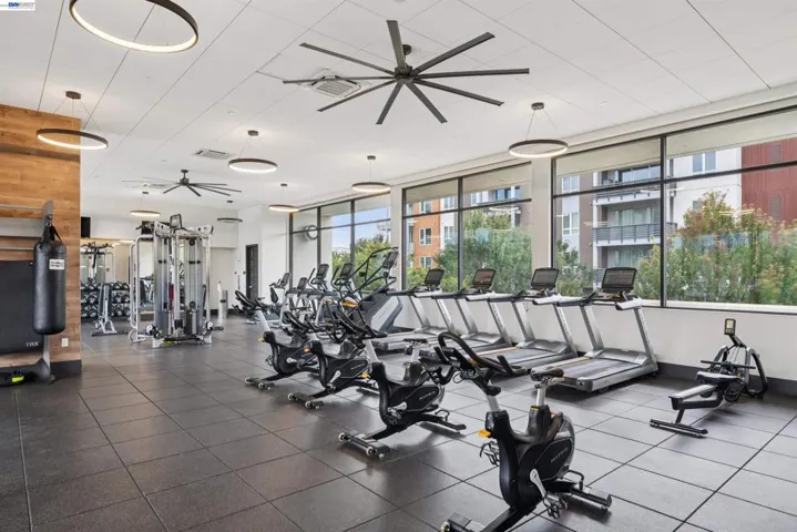 2339 Kinetic Cmn 209, Fremont, California 94539