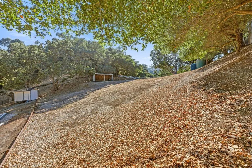 Envision horses, a hobby farm, an orchard, walking trails, garden galore or simply room to roam