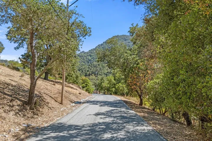 you can literally feel your blood pressure lower as you drive or walk this idyllic road -Armsby Lane