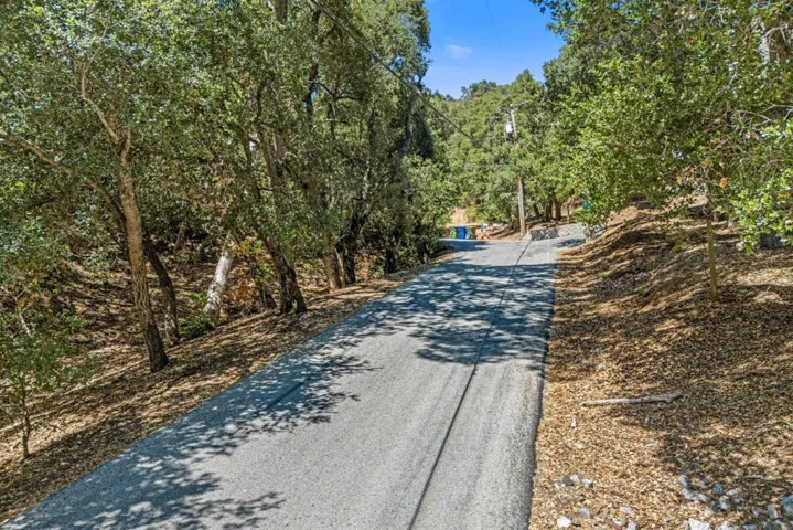 A scenic, tree-lined approach sets the tone for the peaceful lifestyle that awaits.