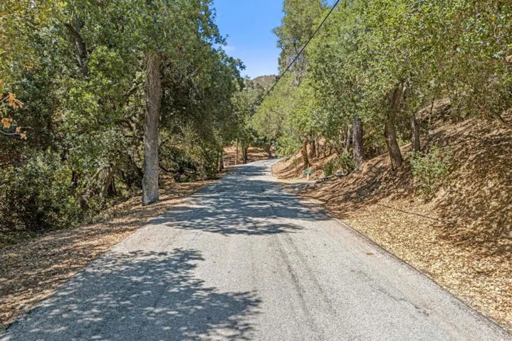 A peaceful drive home beneath a canopy of  oaks welcomes you to this private countryside retreat!
