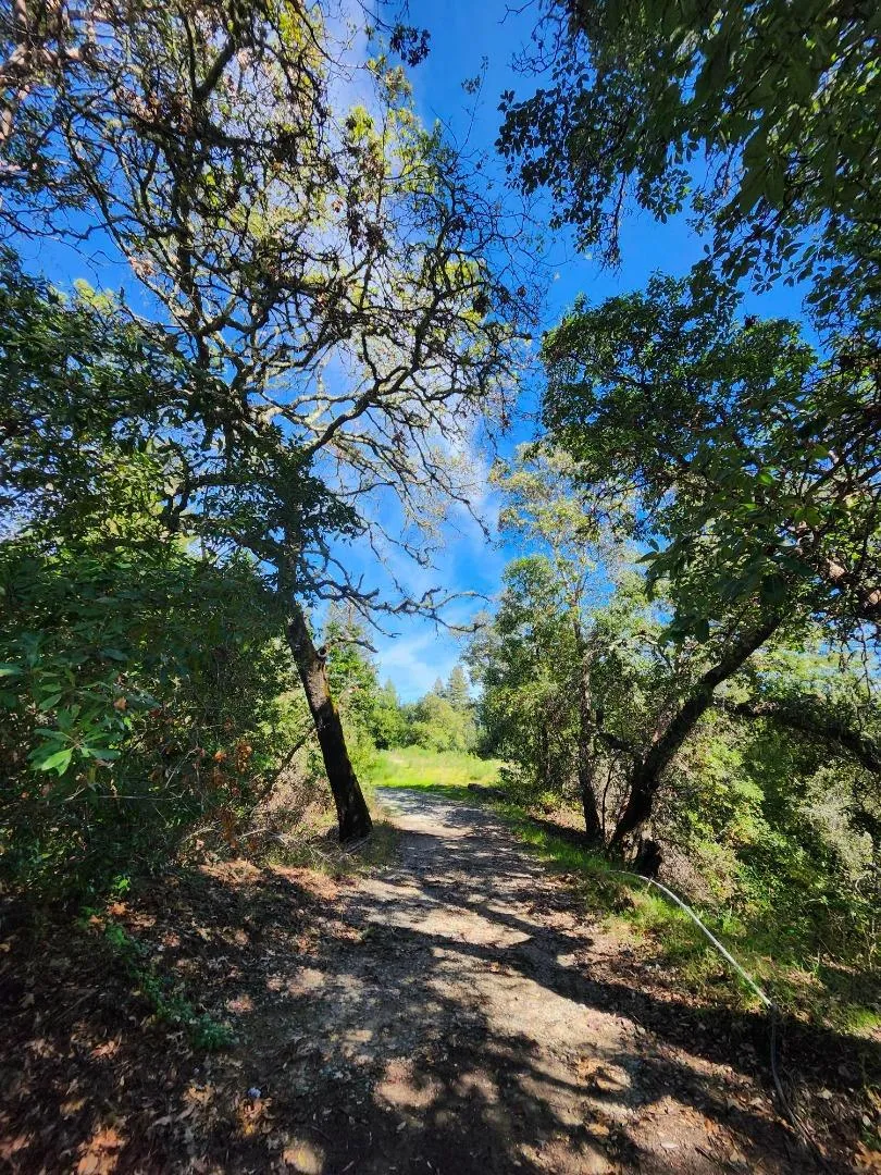 0 White Rock, Los Gatos, California 95033 — photo 5