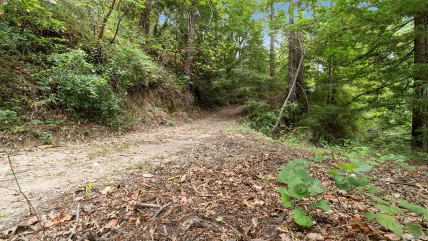 0 White Rock, Los Gatos, California 95033