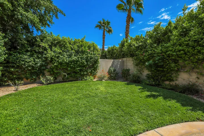 Backyard grass area