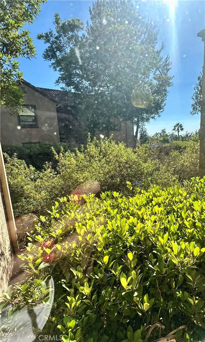 View from living room window - to the right - that's the ocean over there.  Not a peek a boo view - but the home gets the cool ocean breeze