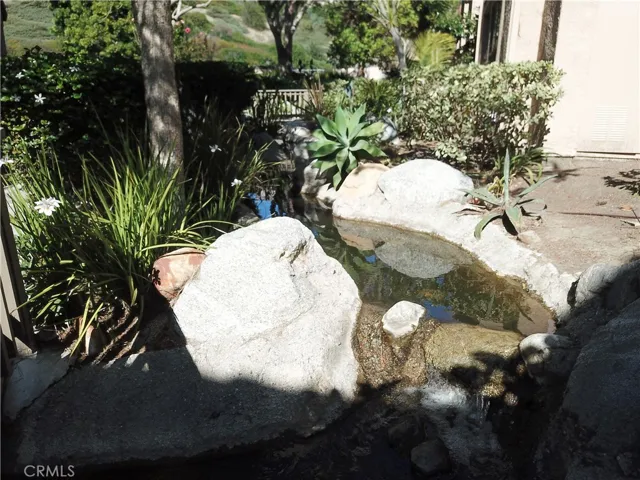 Streams, water features all throughout the community.  It's absolutely gorgeous!