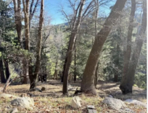 0 Thunderbird, Lake Arrowhead, California 92352