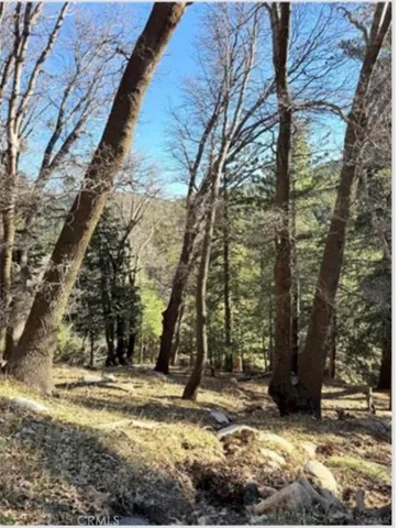 0 Thunderbird, Lake Arrowhead, California 92352
