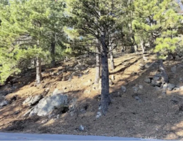 0 Thunderbird, Lake Arrowhead, California 92352