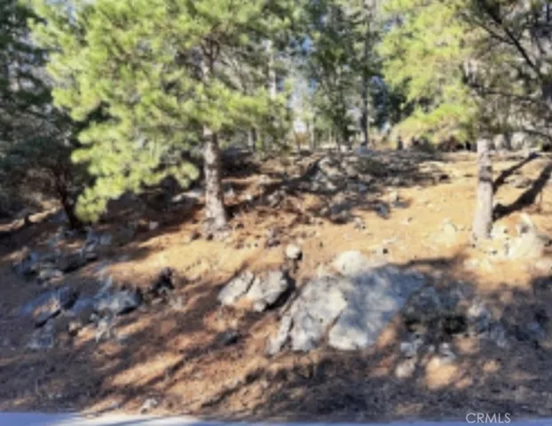 0 Thunderbird, Lake Arrowhead, California 92352