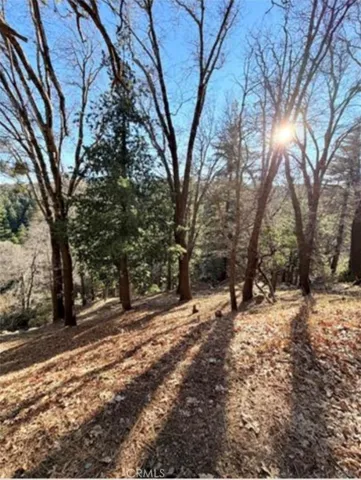 0 Thunderbird, Lake Arrowhead, California 92352
