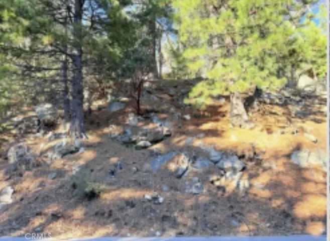 0 Thunderbird, Lake Arrowhead, California 92352