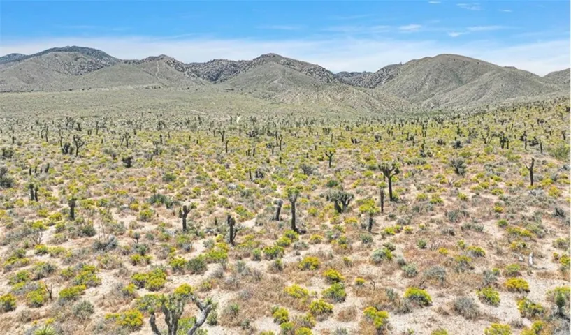 0 Near Sutter, Lucerne Valley, California 92356