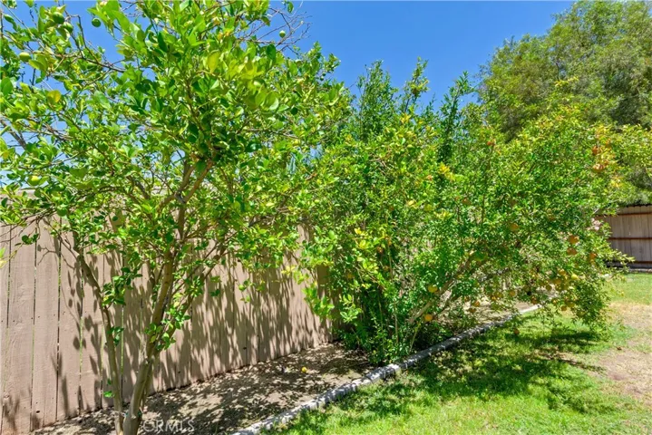 fruit trees