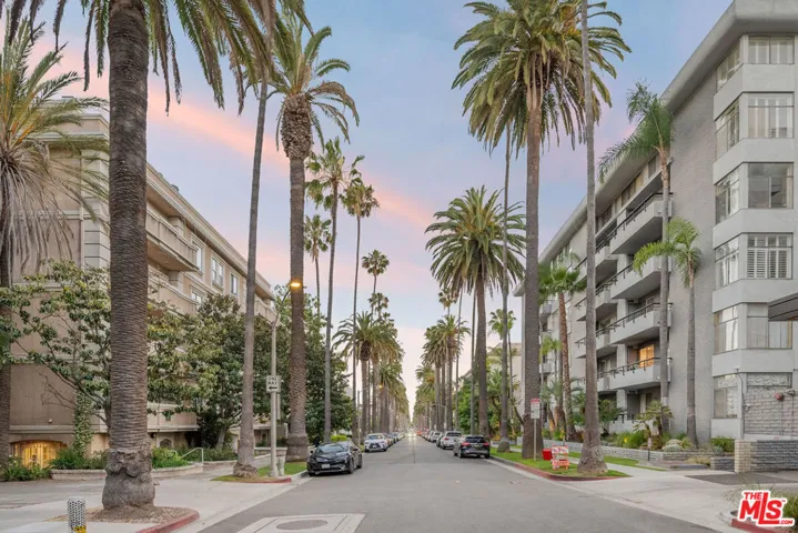 Famous Palm Dr