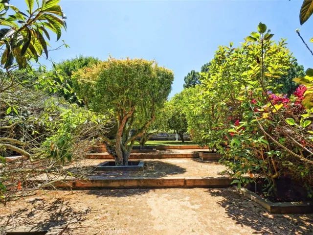 Orchard