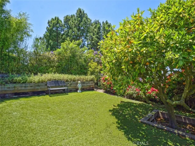 Backyard Lower Terrace