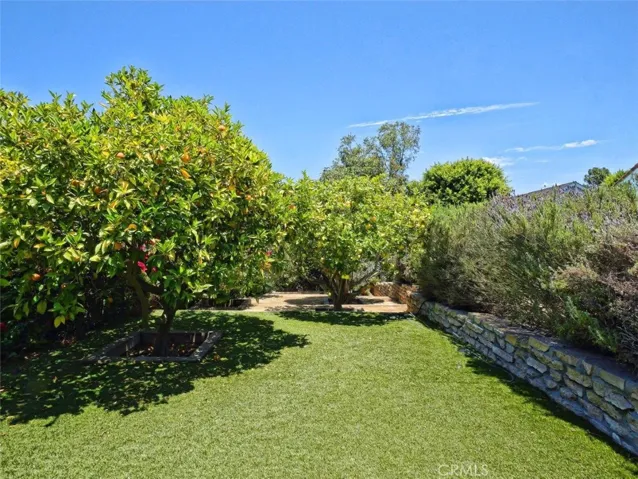 Orchard
