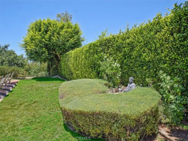 Backyard Grassy Area