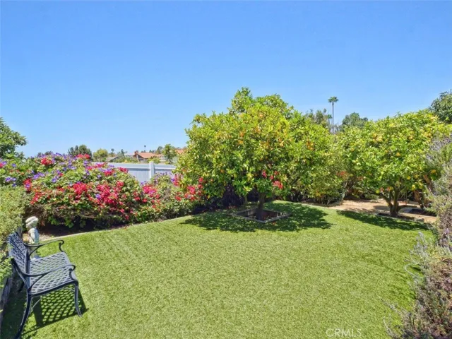 Backyard Lower Terrace