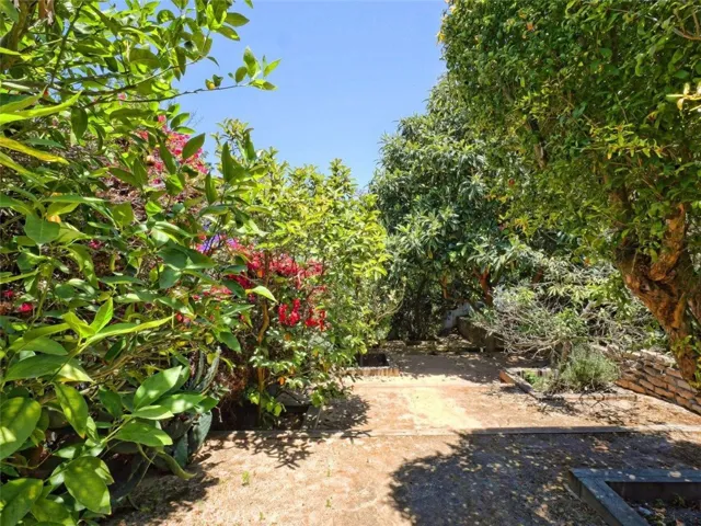 Orchard