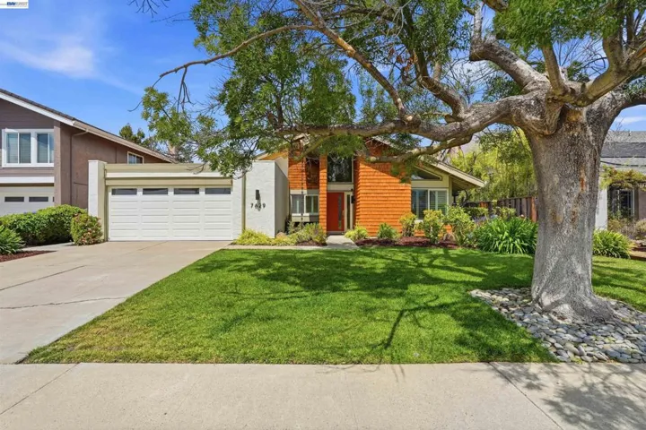 7629 Elderwood Ct