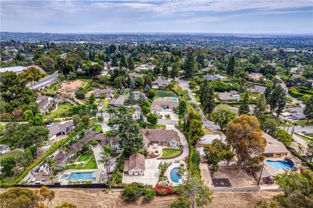 Neighborhood View