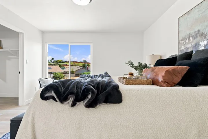 1323 Cornet Place, San Diego, California 92154
