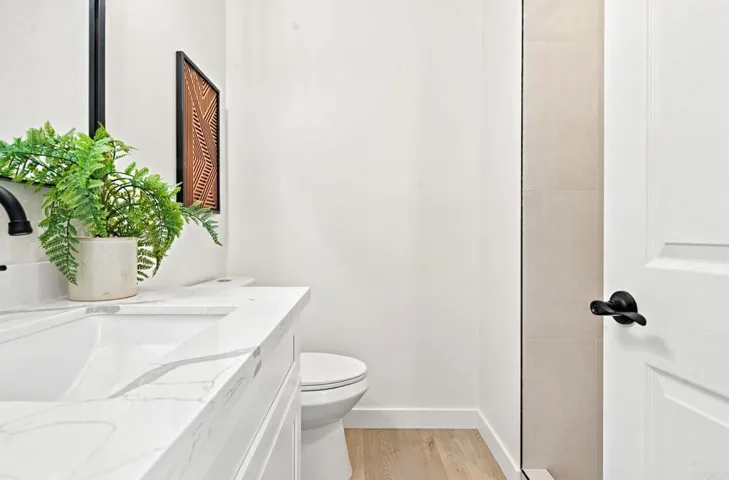 1323 Cornet Place, San Diego, California 92154