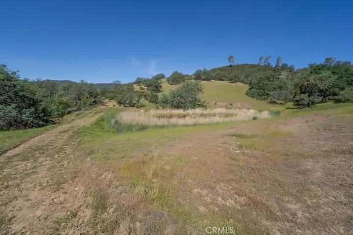 408901 N Fork Road, Coalinga, California 93210