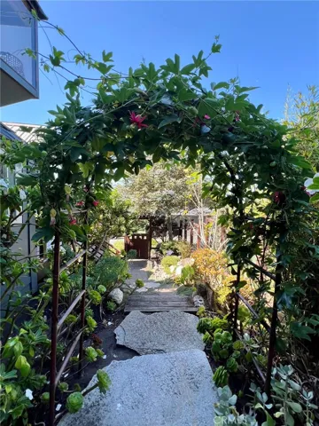 Looking back towards front gate, through Passion Flower arbor