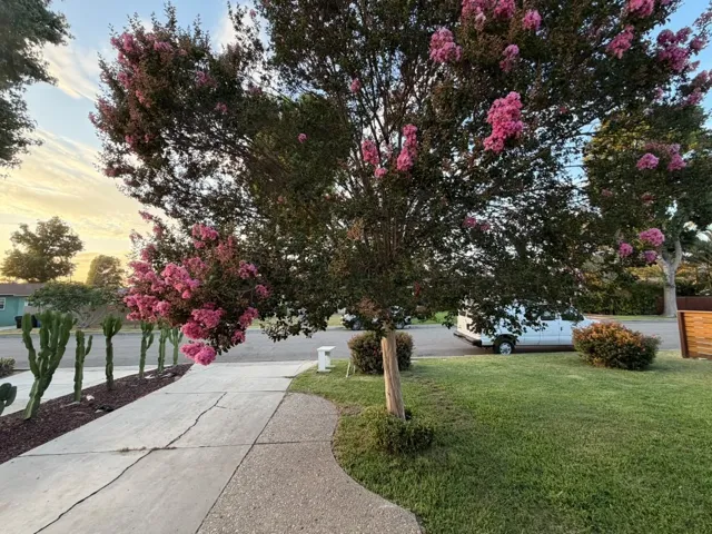 15076 Danbrook Drive, Whittier, California 90604