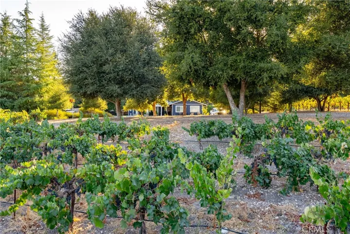 2925 Anderson Road, Paso Robles, California 93446