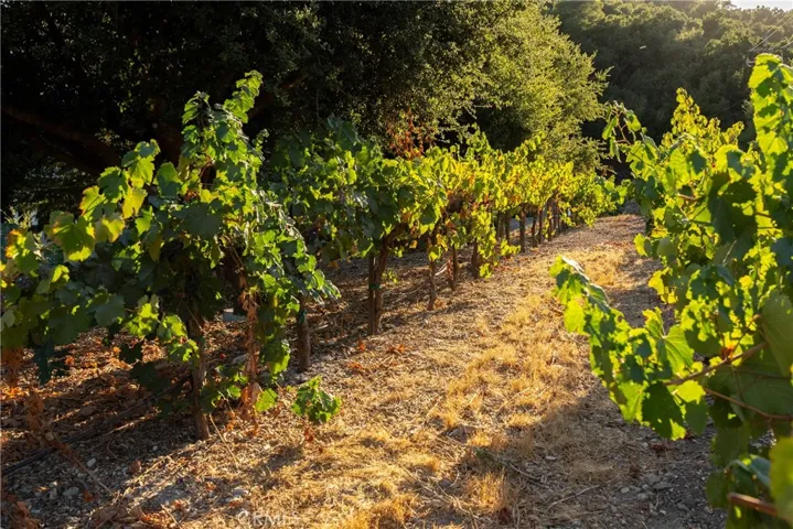 2925 Anderson Road, Paso Robles, California 93446