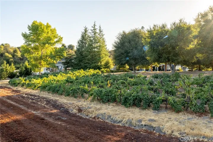 2925 Anderson Road, Paso Robles, California 93446