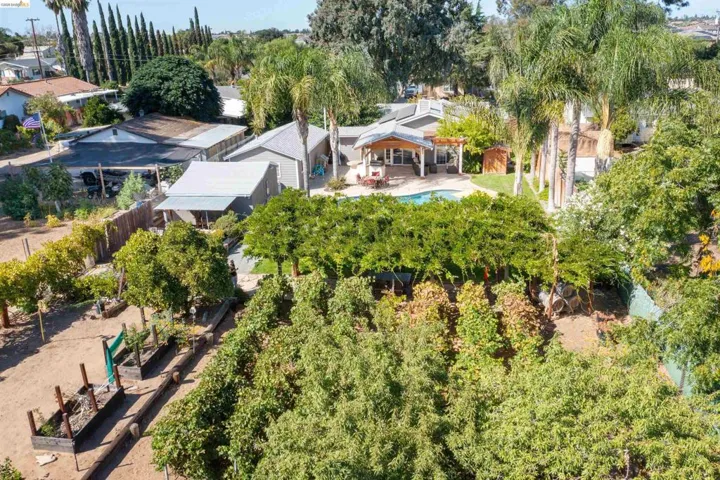 105 W Bolton Rd, Oakley, California 94561