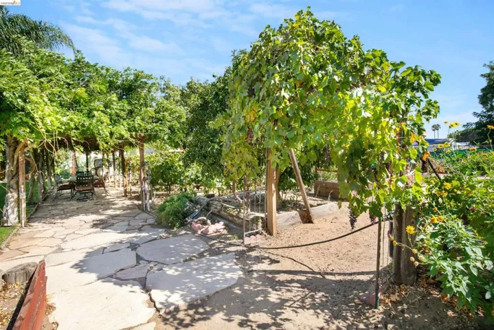 105 W Bolton Rd, Oakley, California 94561