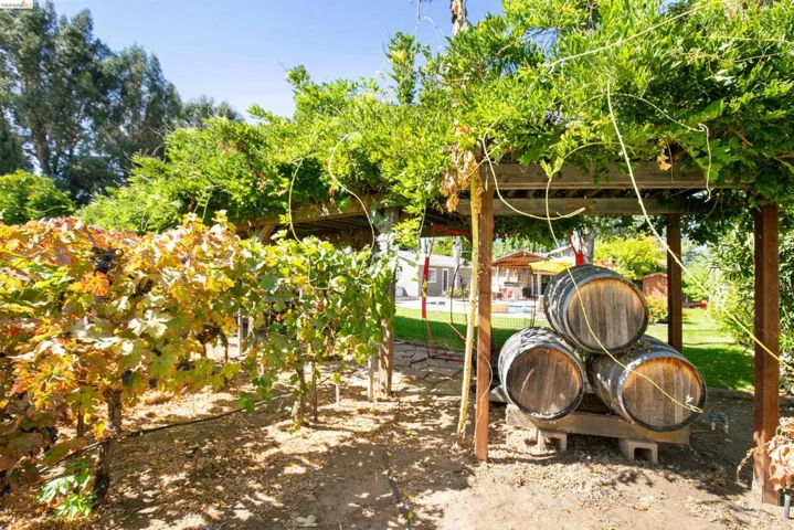 105 W Bolton Rd, Oakley, California 94561