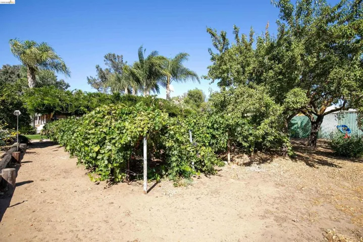105 W Bolton Rd, Oakley, California 94561