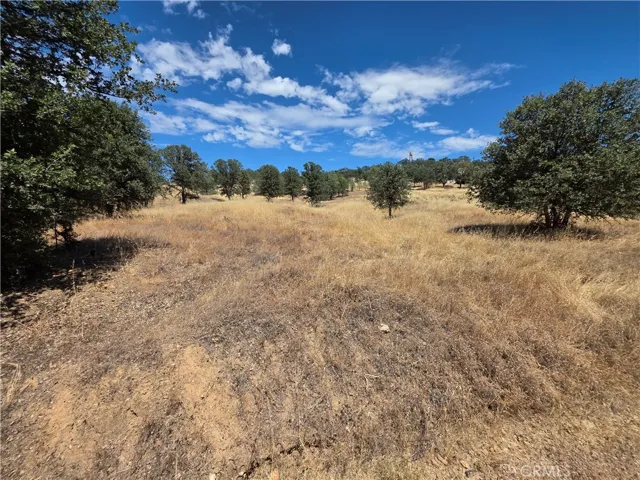 1910 New Long Valley, Clearlake Oaks, California 95423 — photo 4
