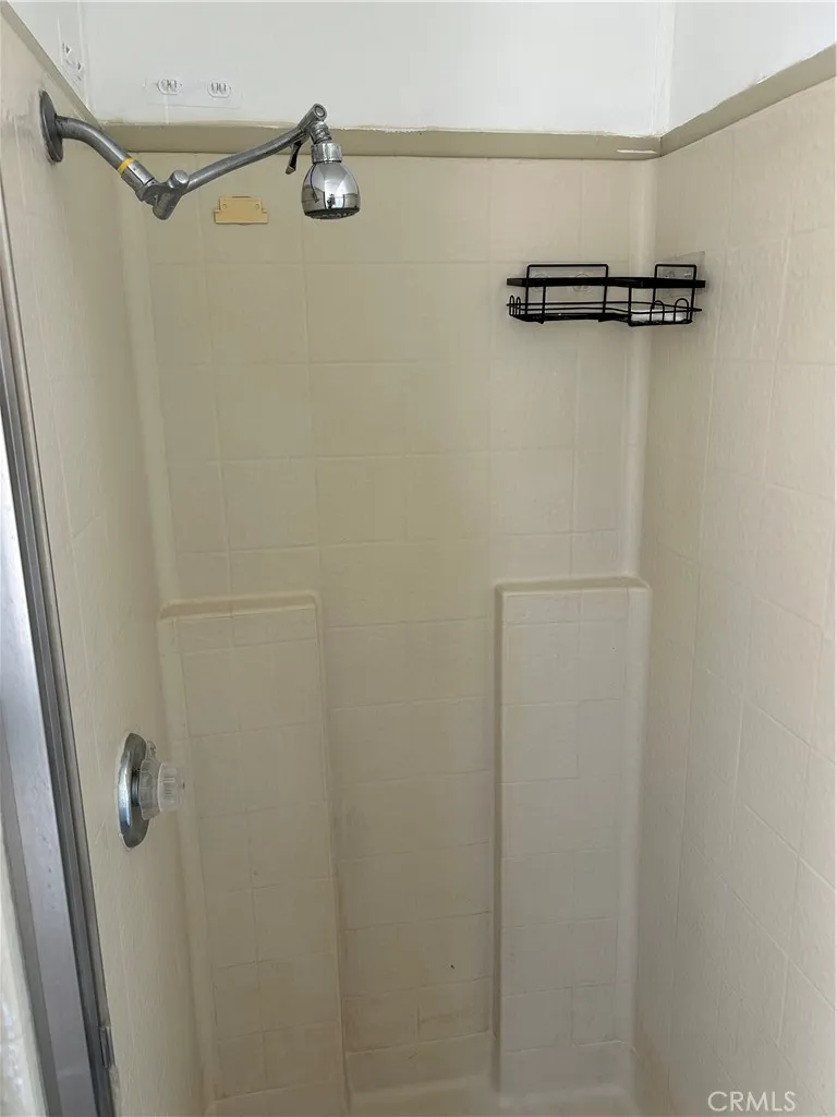 Main bathroom shower