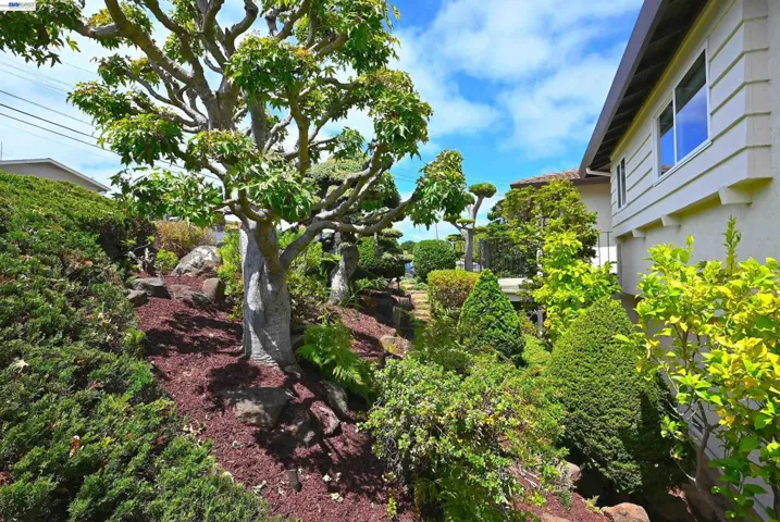 21714 Shadyspring Rd, Castro Valley, California 94546