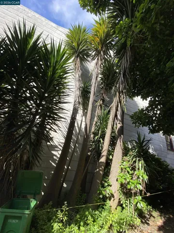 3529 Mission St, San Francisco, California 94110