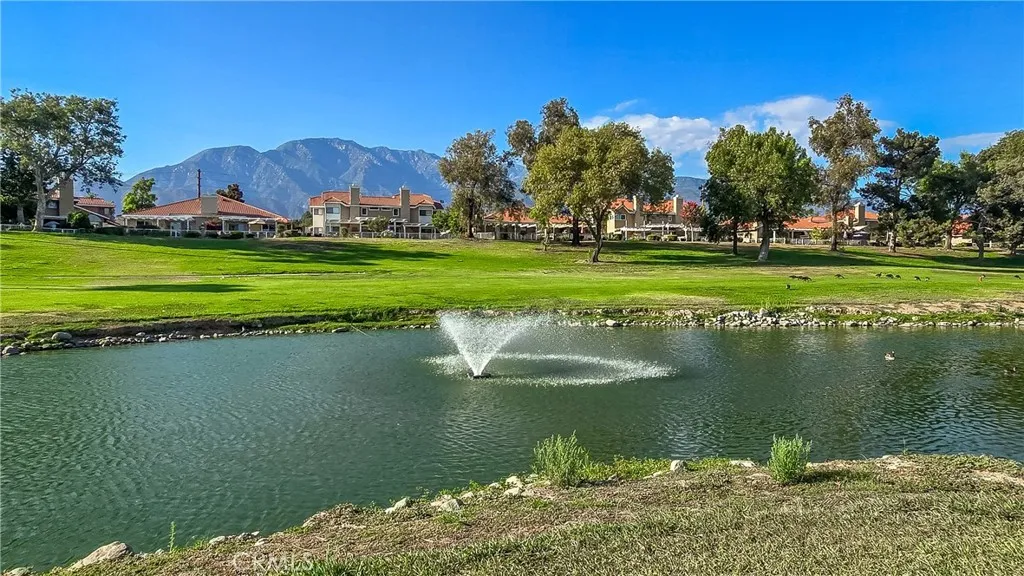 View of the pond and waterfall