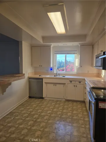 Kitchen Dishwasher, Microwave, Electric Stove